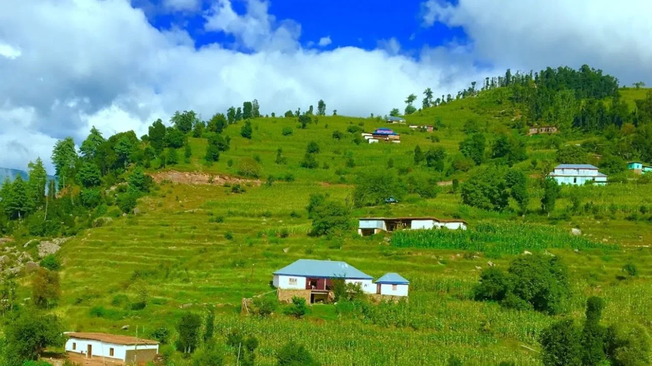 Pushwari
