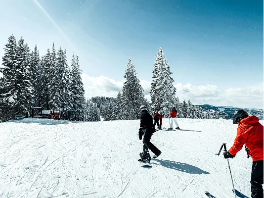 Meadow ATVs & Skiing