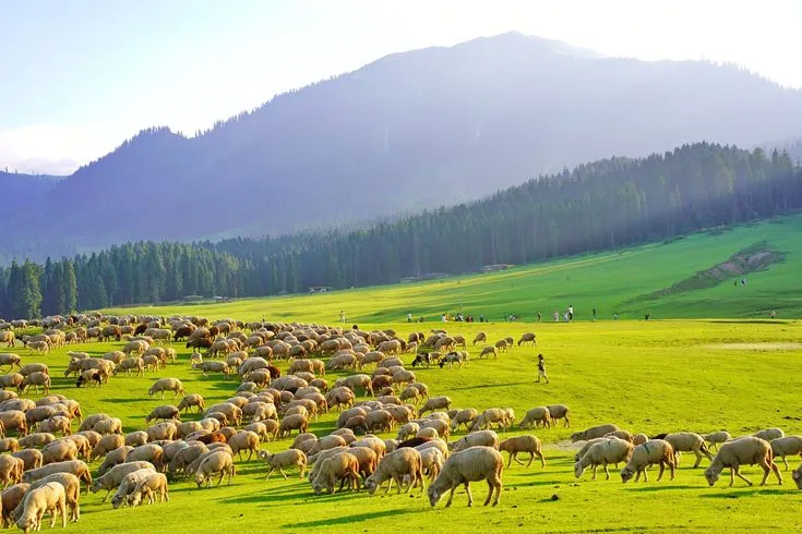 Bangus Valley