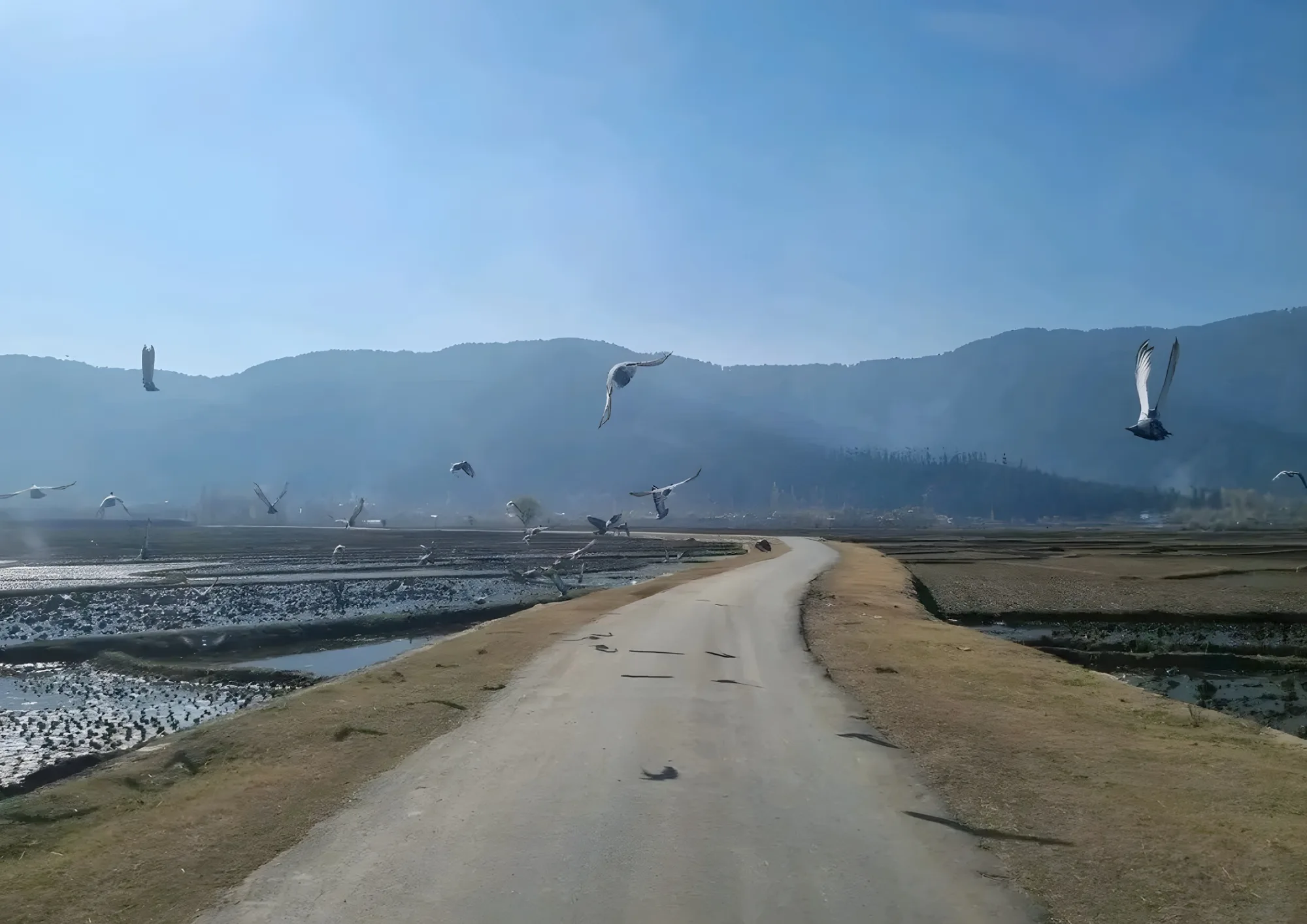 Lolab Valley
